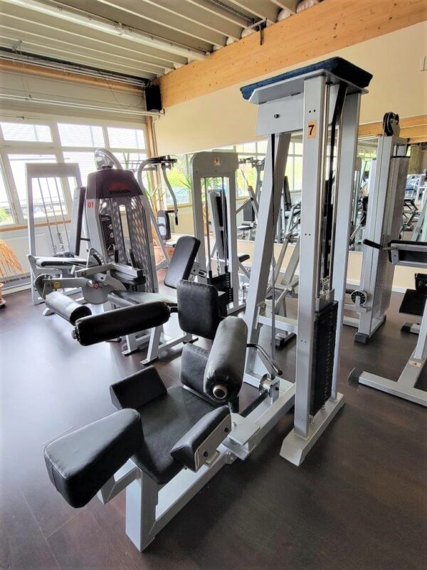 Gym 80 - Rotationsmaschine (Bauch)