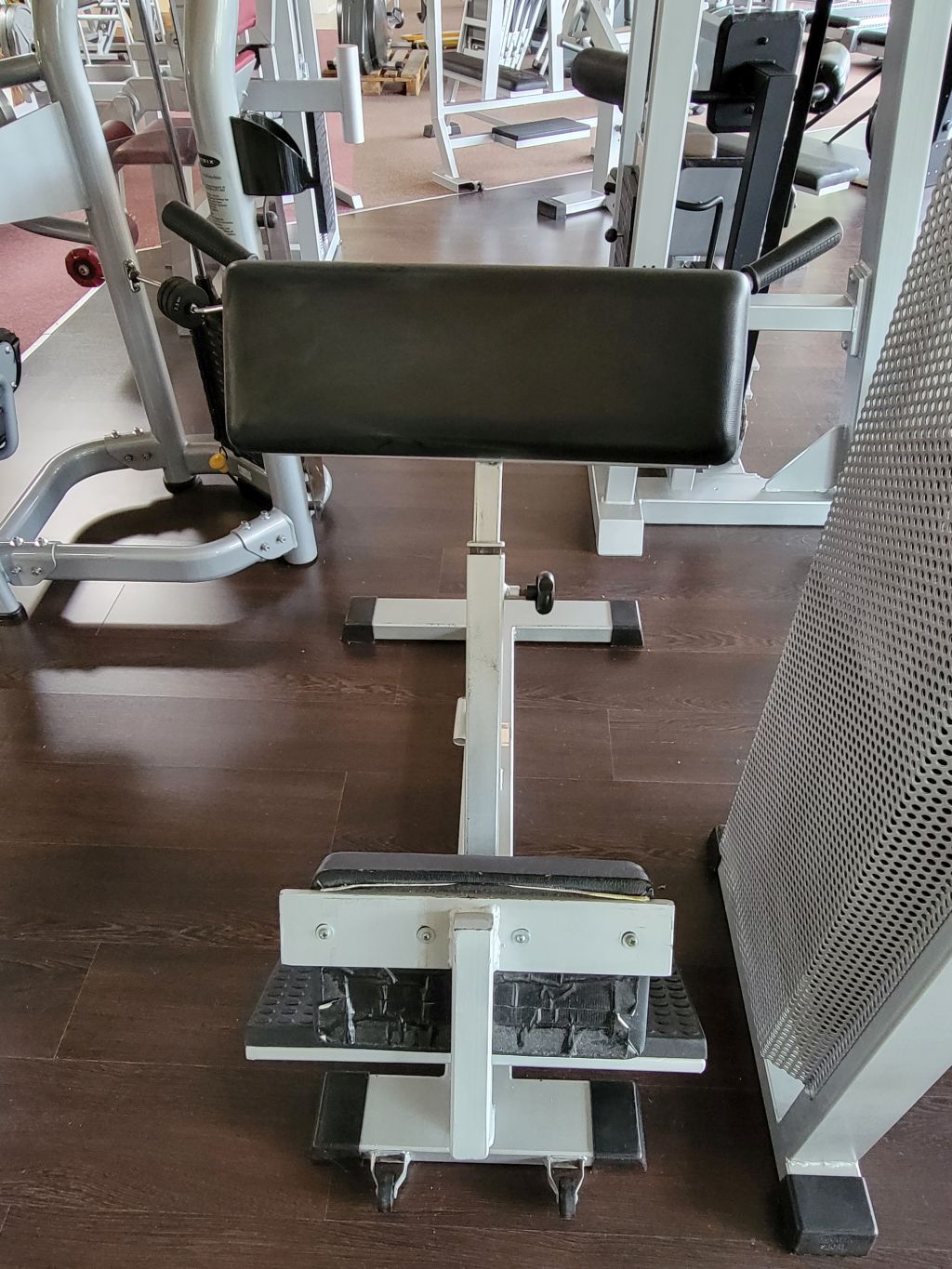 Rückenstrecker Maschine